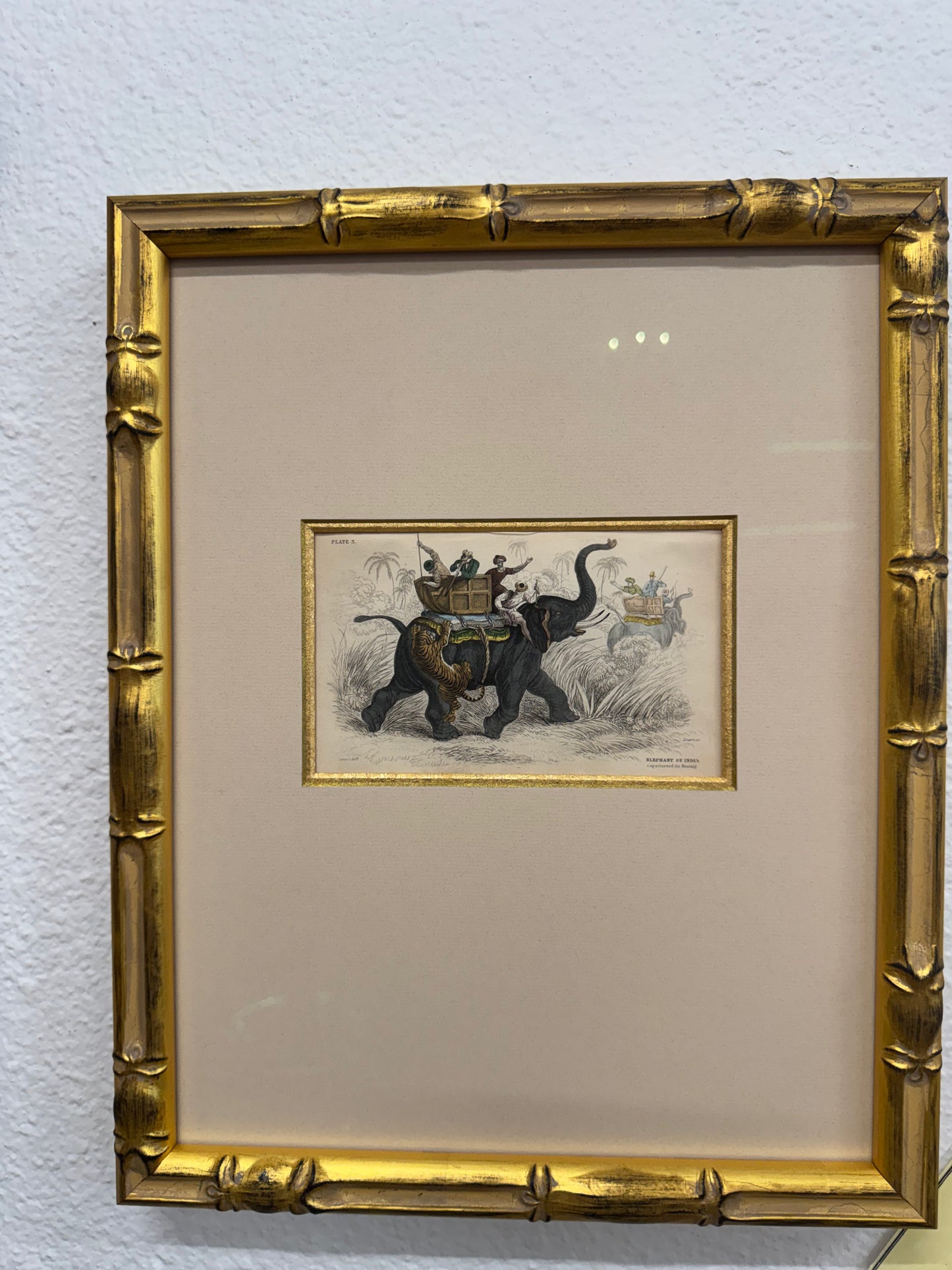 Victorian W.H. Lizars Hand-Colored Etchings Elephant