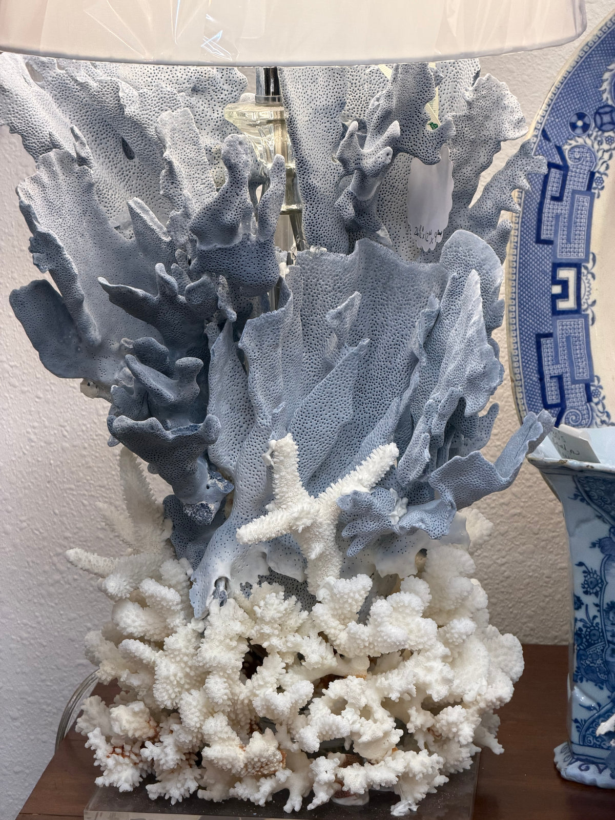 Real Blue Coral & White Coral Lamp | Lighter Blue