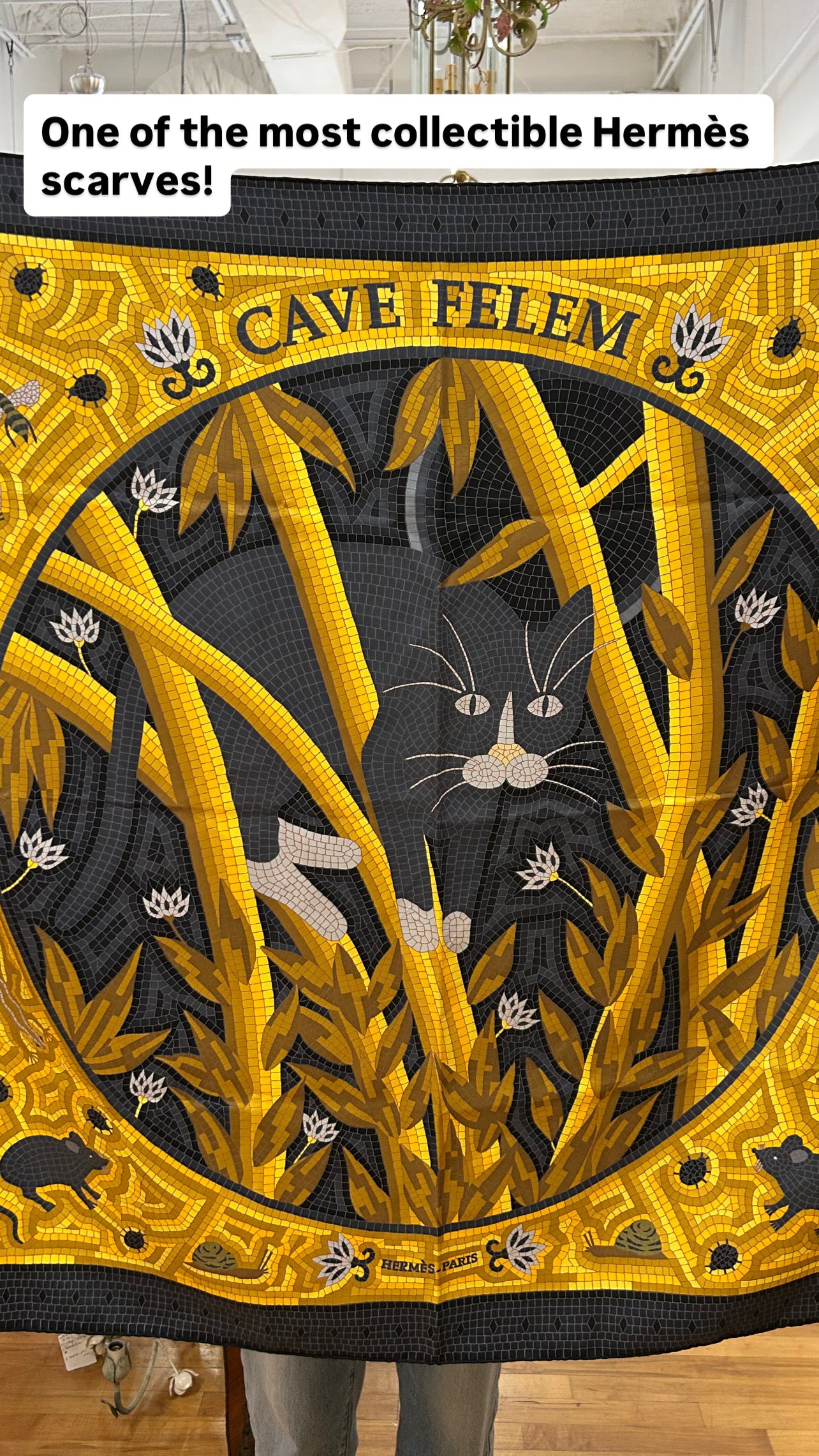 Hermes Scarf, Cave Felem