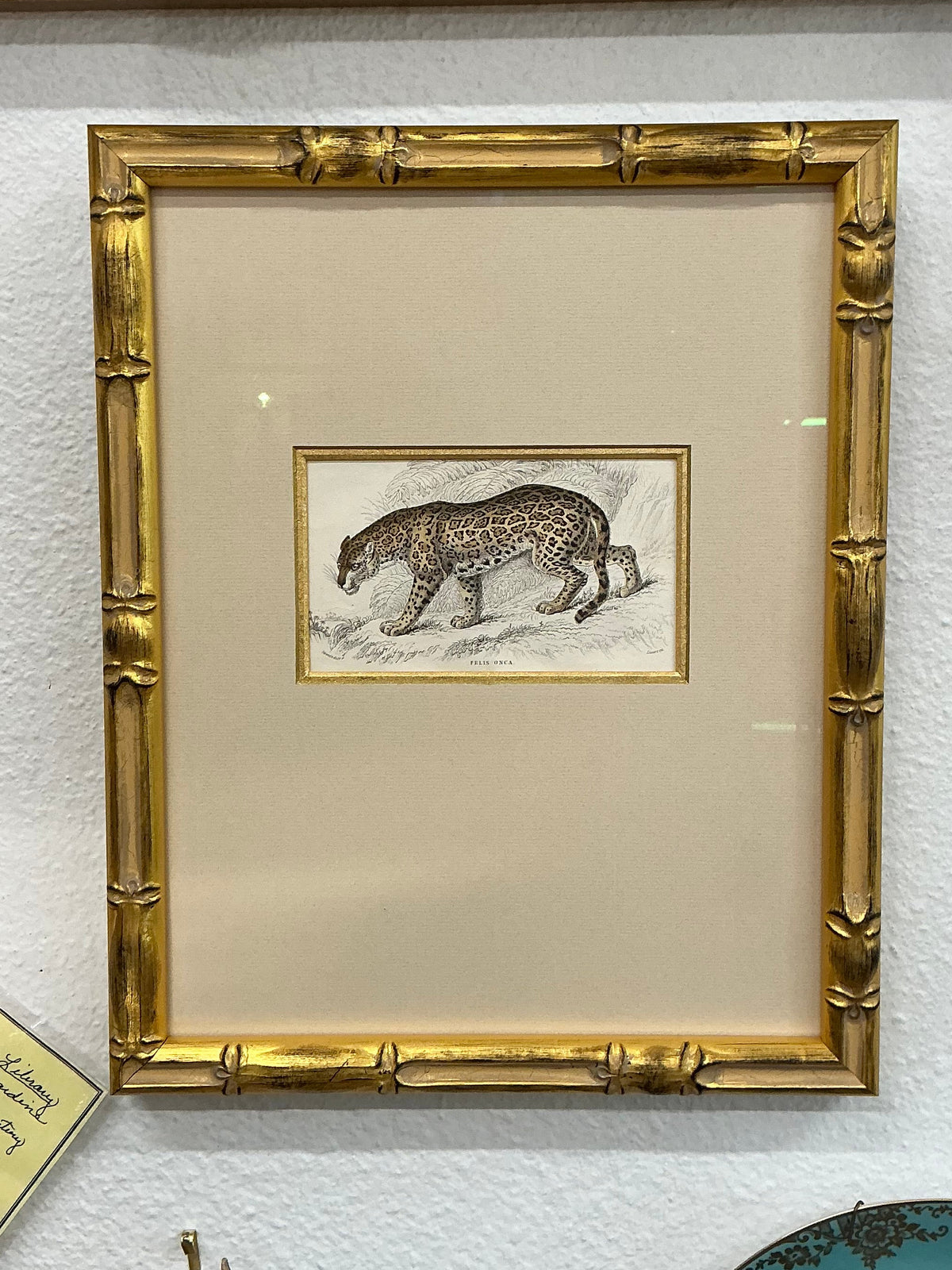 Victorian W.H. Lizars Hand-Colored Etchings Leopard