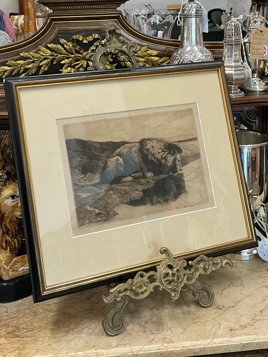 Antique Herbert Dicksee Lion Etching