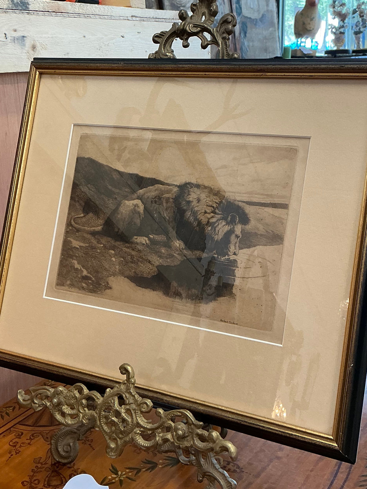 Antique Herbert Dicksee Lion Etching