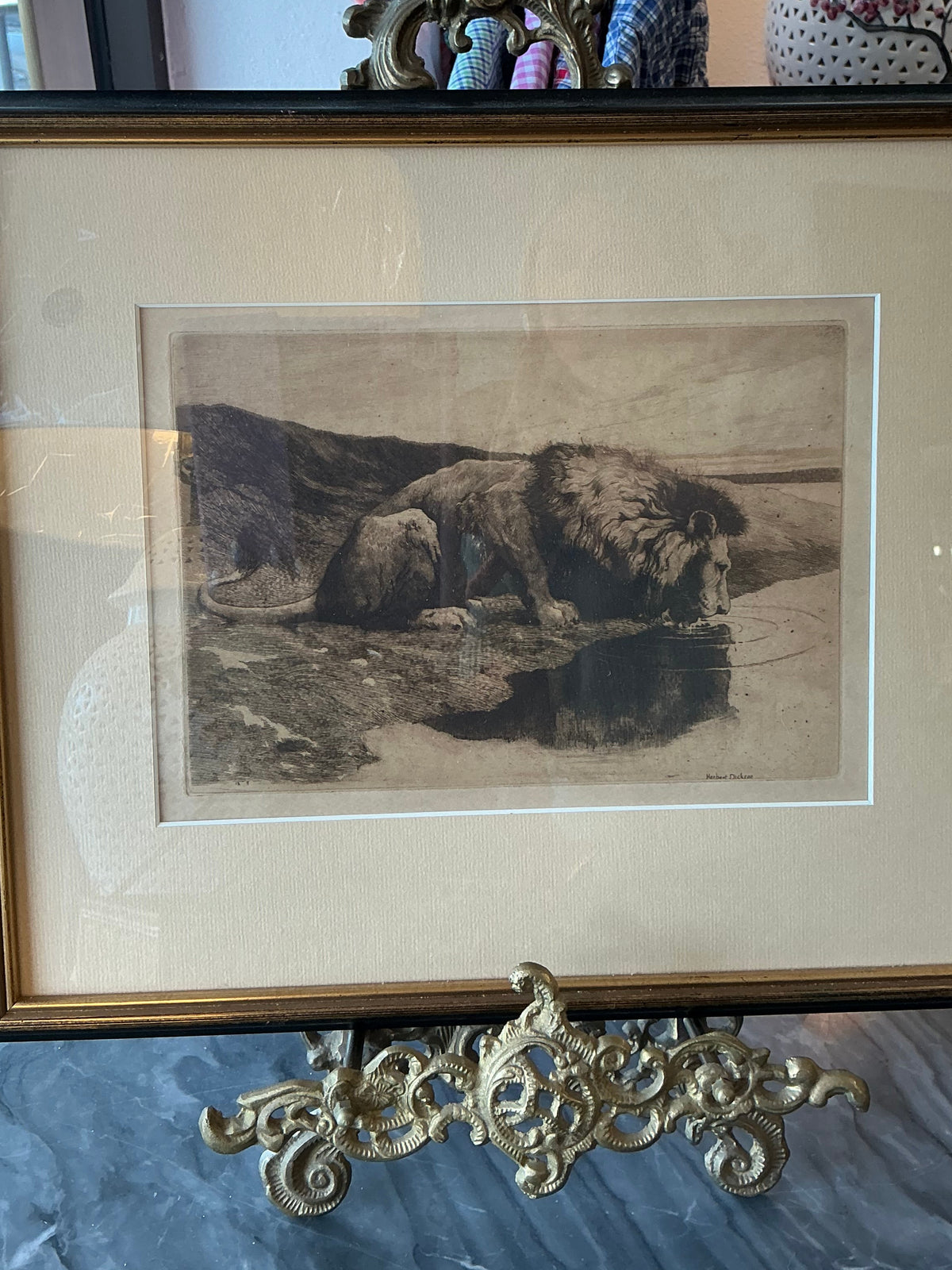 Antique Herbert Dicksee Lion Etching