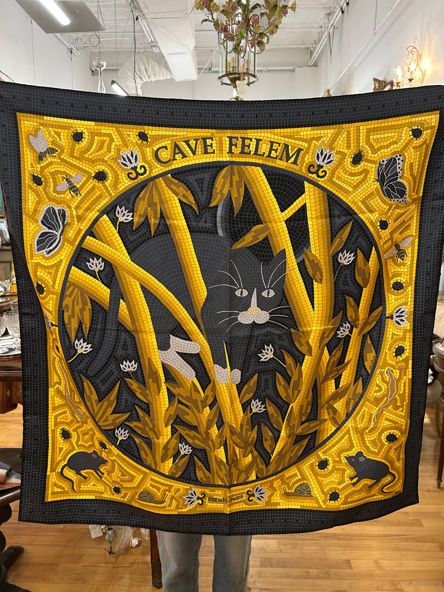 Hermes Scarf, Cave Felem