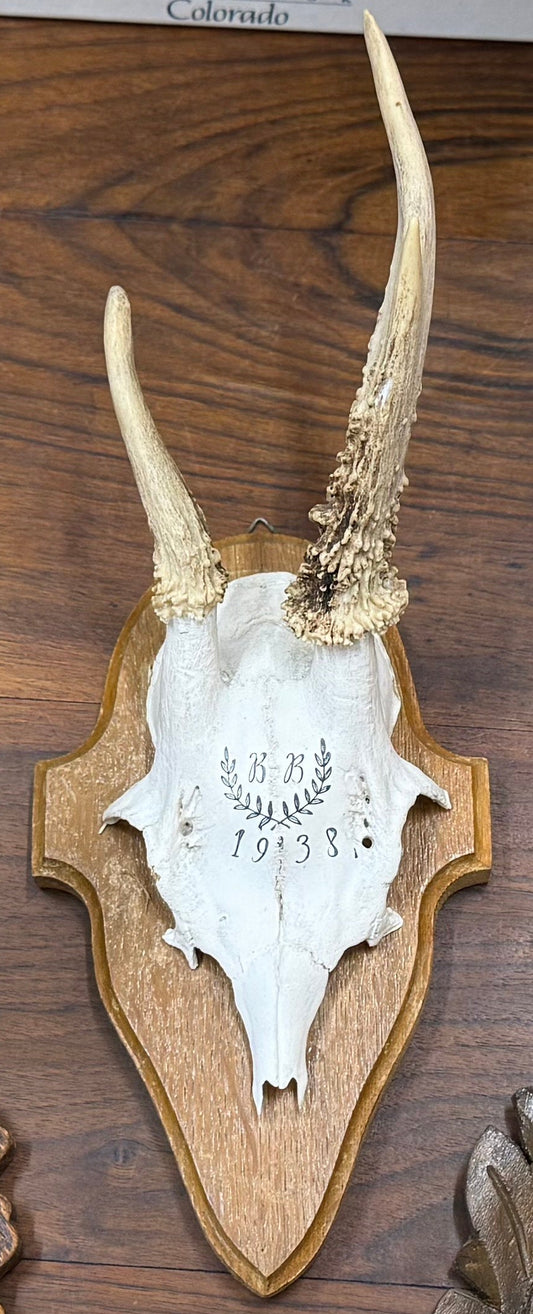 Vintage Austrian Horns