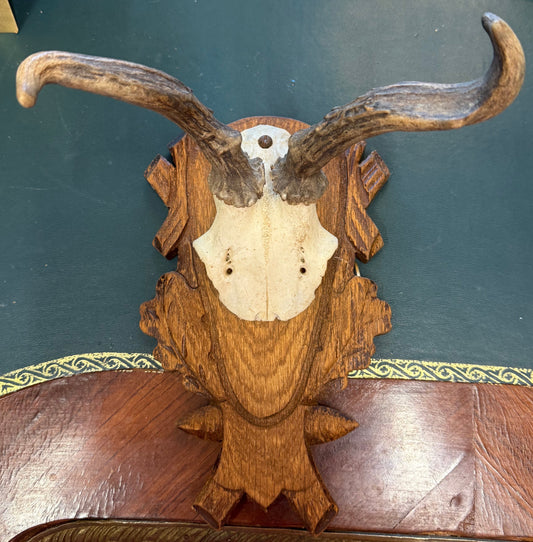 Vintage Austrian Horns