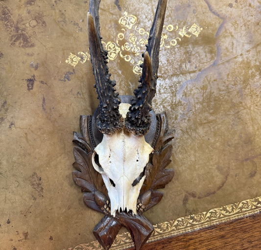 Vintage Austrian Horns